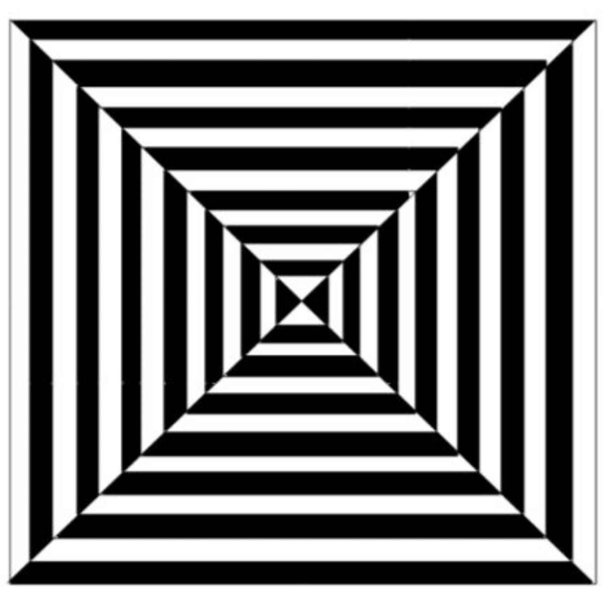 optical illusion artists famous